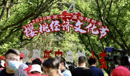 第十一届洛阳·新安樱桃经济文化节开幕